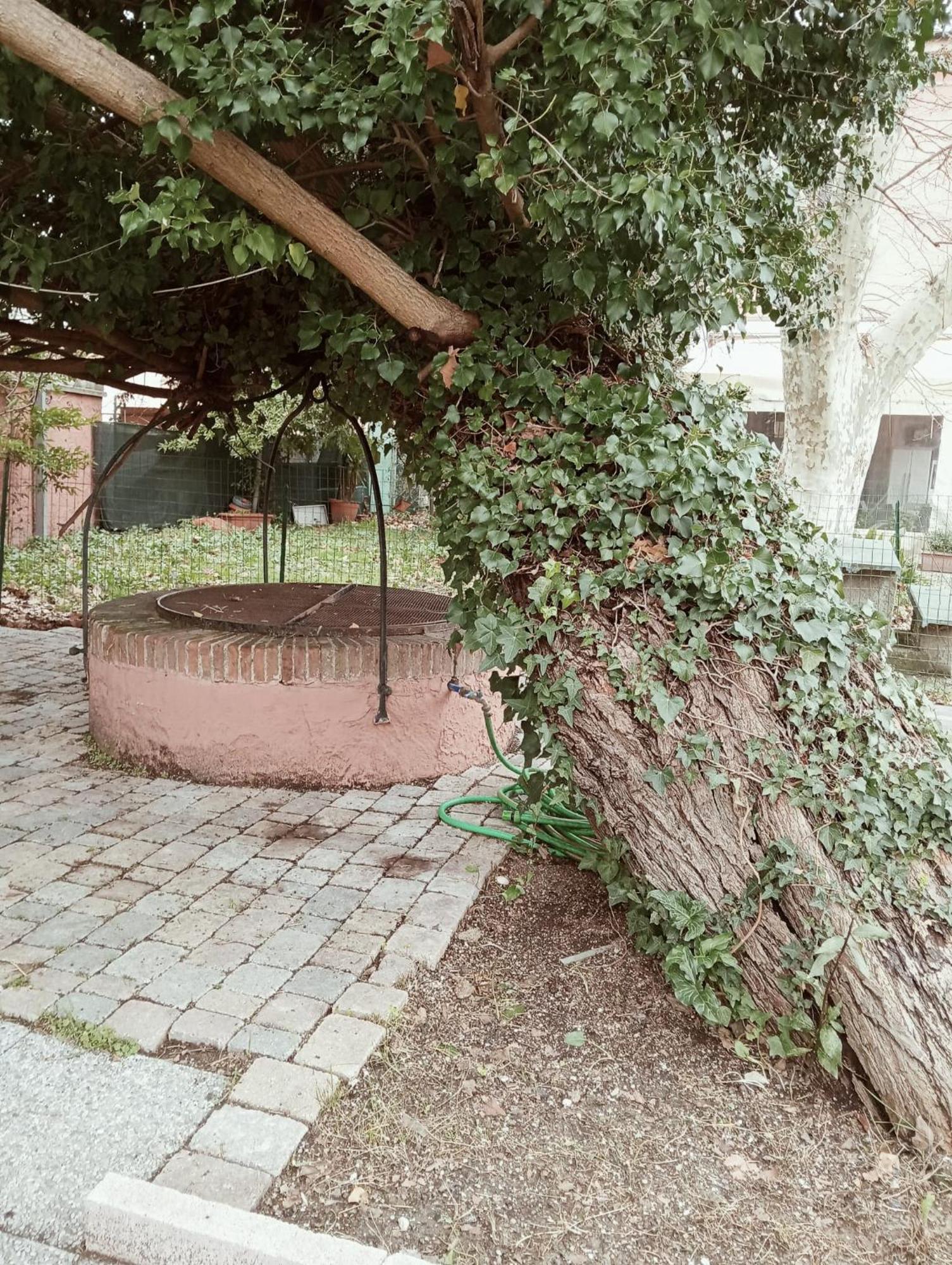 Dimora Del Conte Bed & Breakfast Pisa Exterior photo
