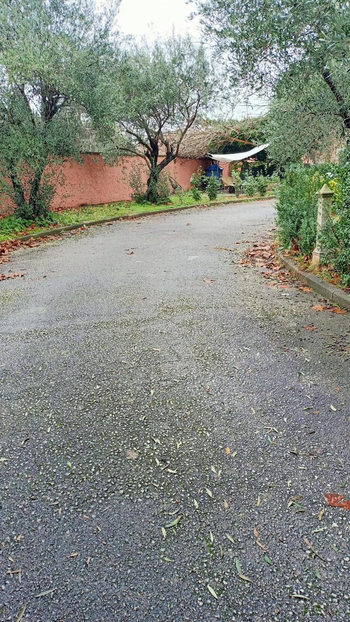Dimora Del Conte Bed & Breakfast Pisa Exterior photo